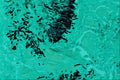 440091 Aspergillus A4 Photo Print