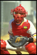 441000 Baseball's Back stop, The Catcher, Canada Summer Games A4 Photo Print