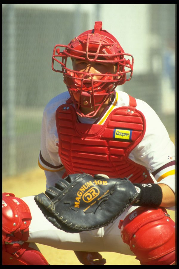 441000 Baseball's Back stop, The Catcher, Canada Summer Games A4 Photo Print