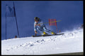 441045 Giant Slalom Racing A4 Photo Print