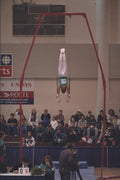 441082 Giants On The Rings A4 Photo Print