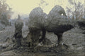 442022 Lava Trees, Pauahi Crater A4 Photo Print
