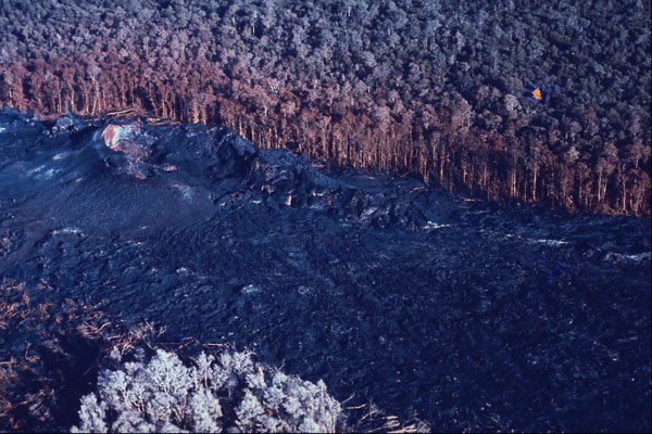 442025 Lava Flow Through Native Forest A4 Photo Print
