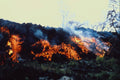 442038 Lava Flow From East Vent A4 Photo Print