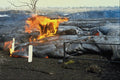 442046 Display At Aloi Crater A4 Photo Print
