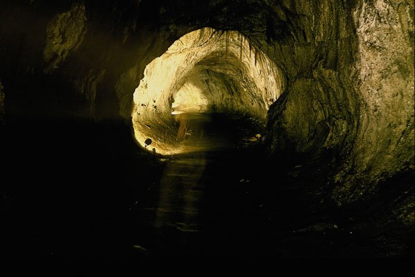 442074 Thurston Lava Tube A4 Photo Print