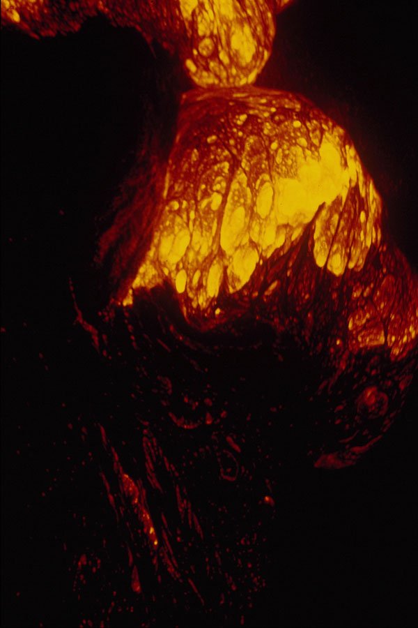 442080 Oozeout Of Pahoehoe Lava A4 Photo Print