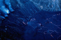 442083 Floor Of Makaopuhi Crater A4 Photo Print