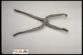 444031 Shoe Stretcher A4 Photo Print