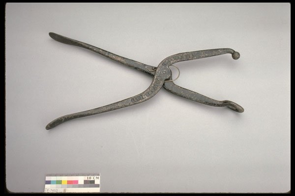 444031 Shoe Stretcher A4 Photo Print