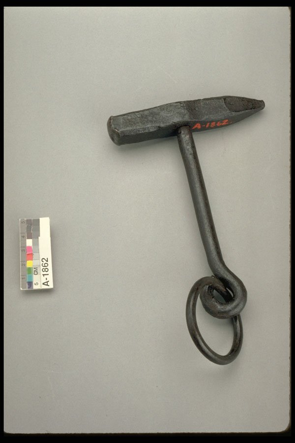 444042 Hoof Pick A4 Photo Print