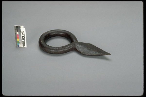 444062 Snub Ring A4 Photo Print