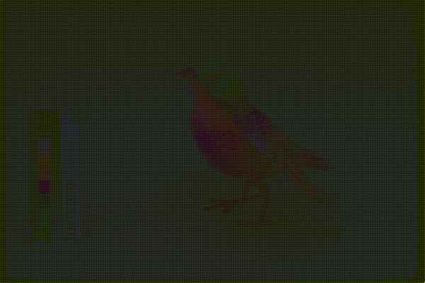 445011 Mechanical Bird A4 Photo Print