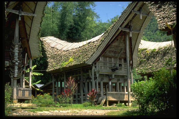 446002 Tanatorja Longhouse, Sulawesi A4 Photo Print