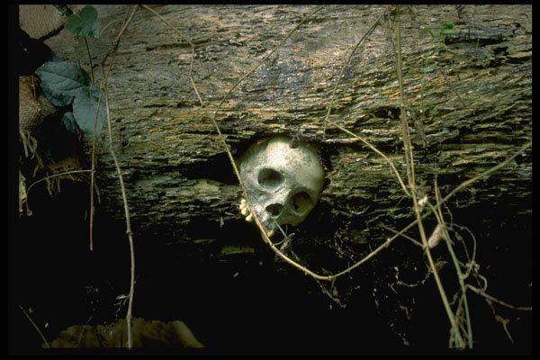 446003 Cave Burial Remains, Sulawesi A4 Photo Print