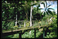 446007 Bridge, Kemenuh, Bali A4 Photo Print