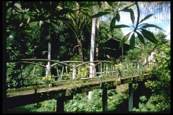 446007 Bridge, Kemenuh, Bali A4 Photo Print