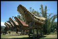 446019 Rice Barns A4 Photo Print