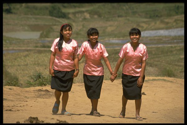 446020 Three Girls A4 Photo Print