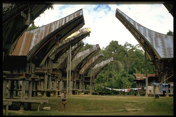 446021 Rice Barns A4 Photo Print