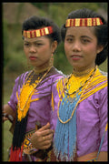 446030 Girls At Wedding Ceremony, Rantepao A4 Photo Print