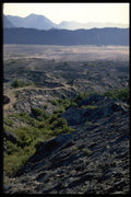 446049 Laua Field A4 Photo Print