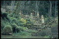 446050 Location Of Movie Apocalypse Now  A4 Photo Print