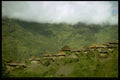 446052 Village, Central Highlands A4 Photo Print