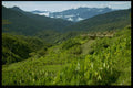 446053 Village, Central Highlands A4 Photo Print