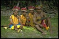 446057 Biak Island A4 Photo Print