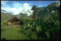 446077 Village Hut, Anggruk A4 Photo Print