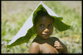 446083 Child Sheltered From Sun Under Banana Leaf, Membagam A4 Photo Print