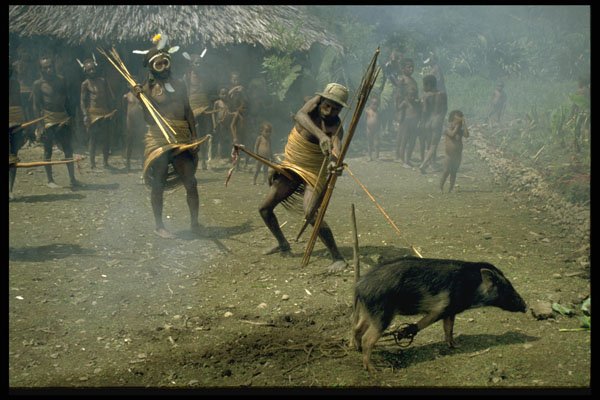 446085 Killing Pig With Bow And Arrow, Ceremony, Membagam A4 Photo Print