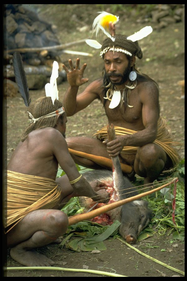 446087 Preparing The Pig, Ceremony, Membagam A4 Photo Print