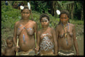 446095 Village Girls, Ceremony, Membagam A4 Photo Print