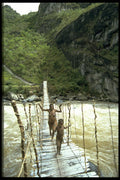 446096 Suspension Bridge, Baliem Gorge A4 Photo Print