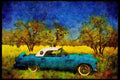 447001 57 T Bird A4 Limited Edition Watercolour Print
