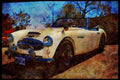 447095 Austin Healey A4 Limited Edition Watercolour Print