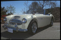 447095 Austin Healey A4 Photo Print