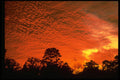 448007 Sunset Over Citrus County A4 Photo Print