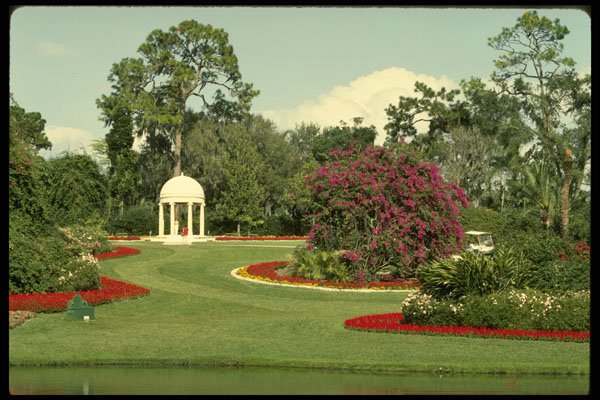 448035 Cypress Gardens A4 Photo Print