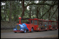 448040 Sightseeing Train, St. Augustine A4 Photo Print