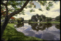 448044 Kapok Tree Restaurant, Fort Lauderdale A4 Photo Print