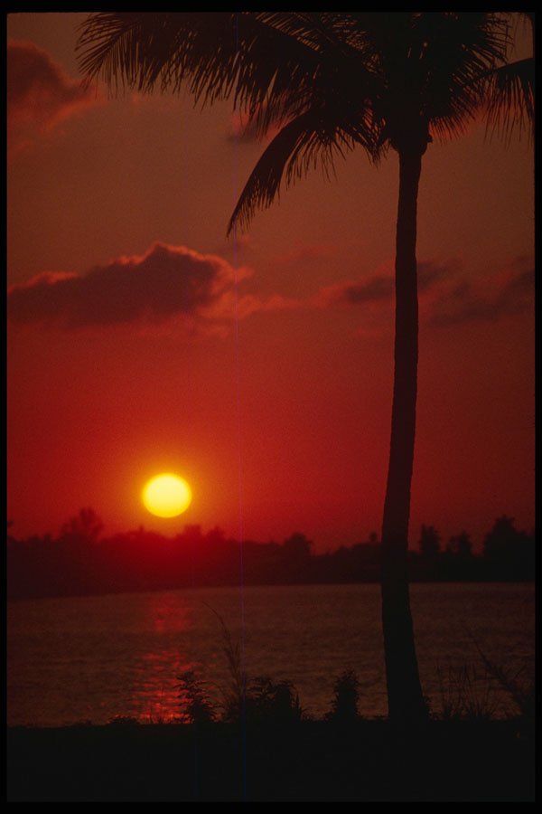 448046 Hollywood Sunset A4 Photo Print