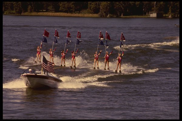 448048 Cypress Gardens A4 Photo Print