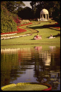 448049 Cypress Gardens A4 Photo Print