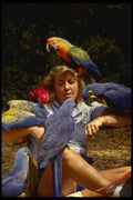 448054 Macaw Attack, Parrot Jungle A4 Photo Print