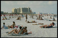 448069 Beach At Clearwater A4 Photo Print