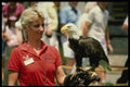 448072 Trainer With Eagle At Weeki Wachee Springs A4 Photo Print