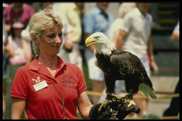 448072 Trainer With Eagle At Weeki Wachee Springs A4 Photo Print